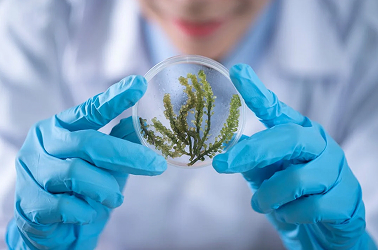 AI Revolutionizing Drug Discovery in Biological Labs